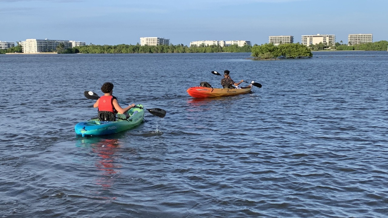 Photo of Others in Parrot Cove