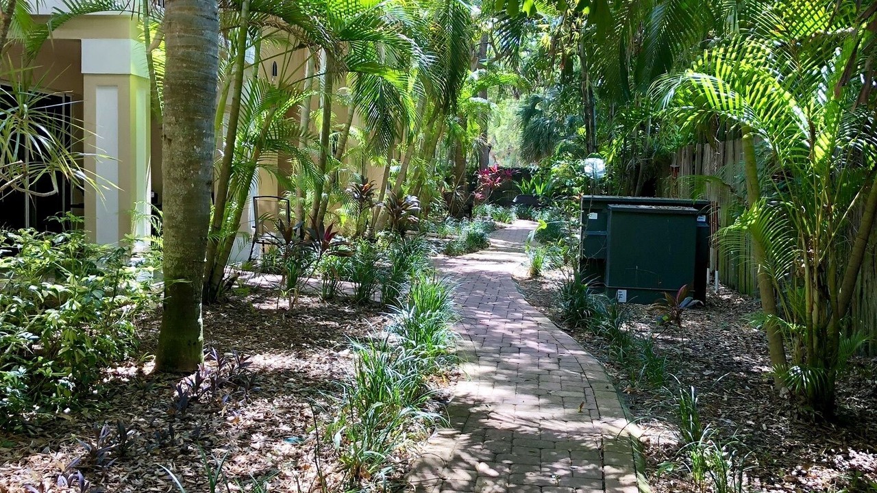 Photo of Outdoor in Downtown Dunedin