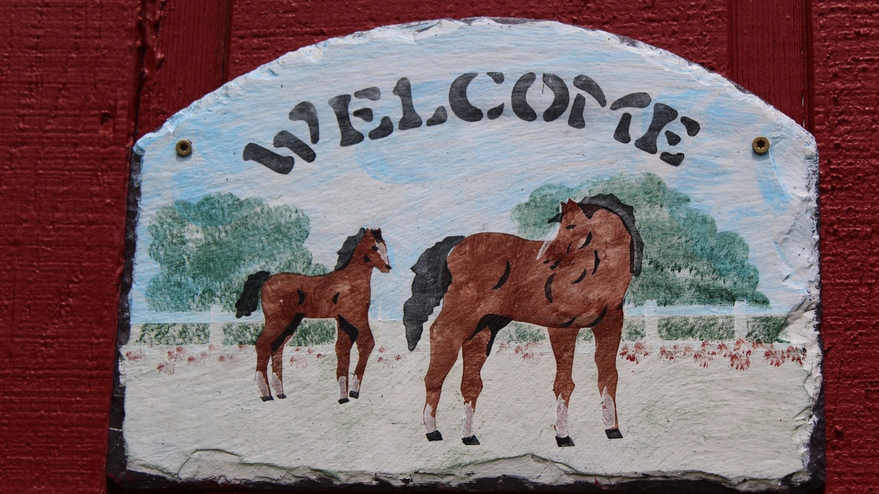 Photo of Others in Elkton