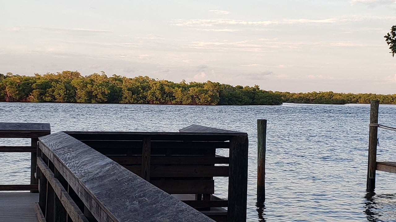 Photo of Outdoor in Mid Island