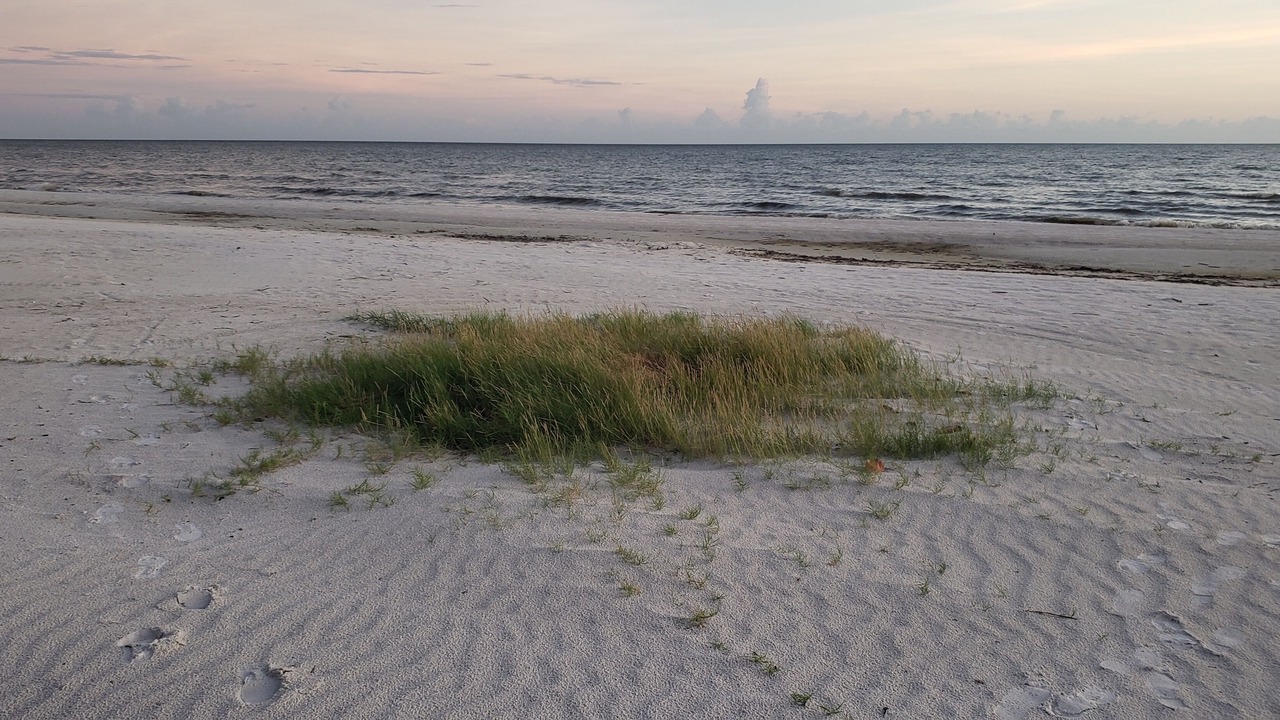 Photo of Others in Mid Island