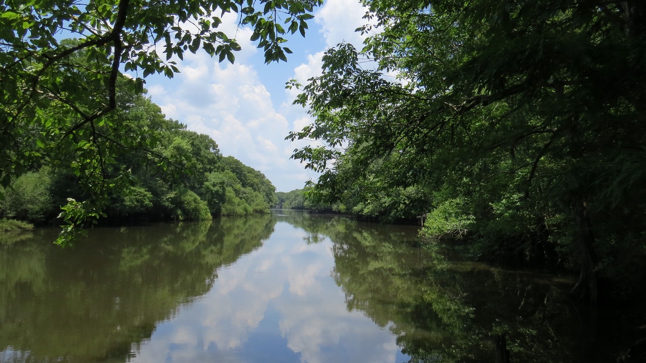Photo of Others in Clarksville