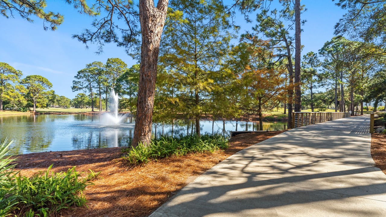 Photo of Outdoor in Laurel Grove