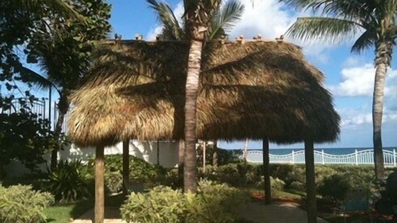 Photo of Outdoor in Seybold
