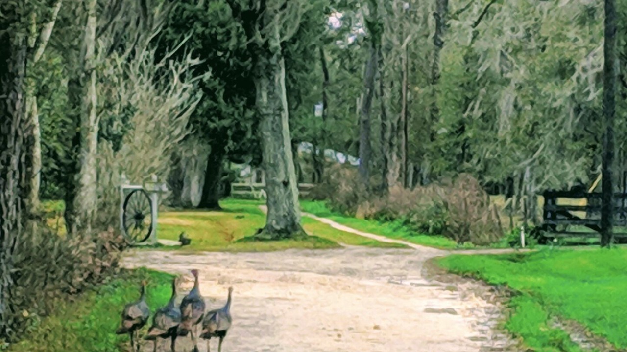 Photo of Others in Alachua