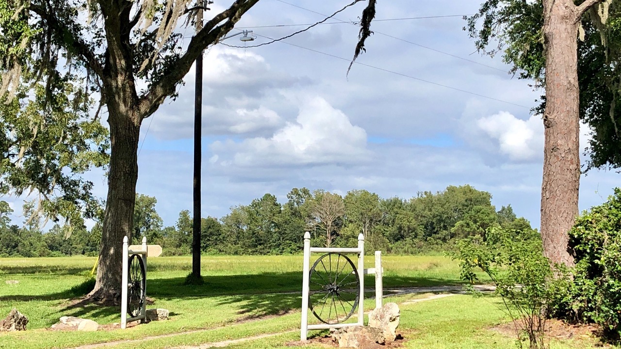 Photo of Others in Alachua