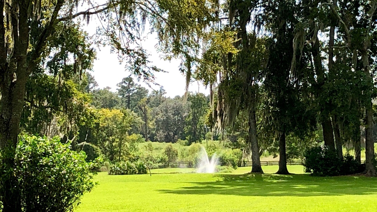 Photo of Others in Alachua