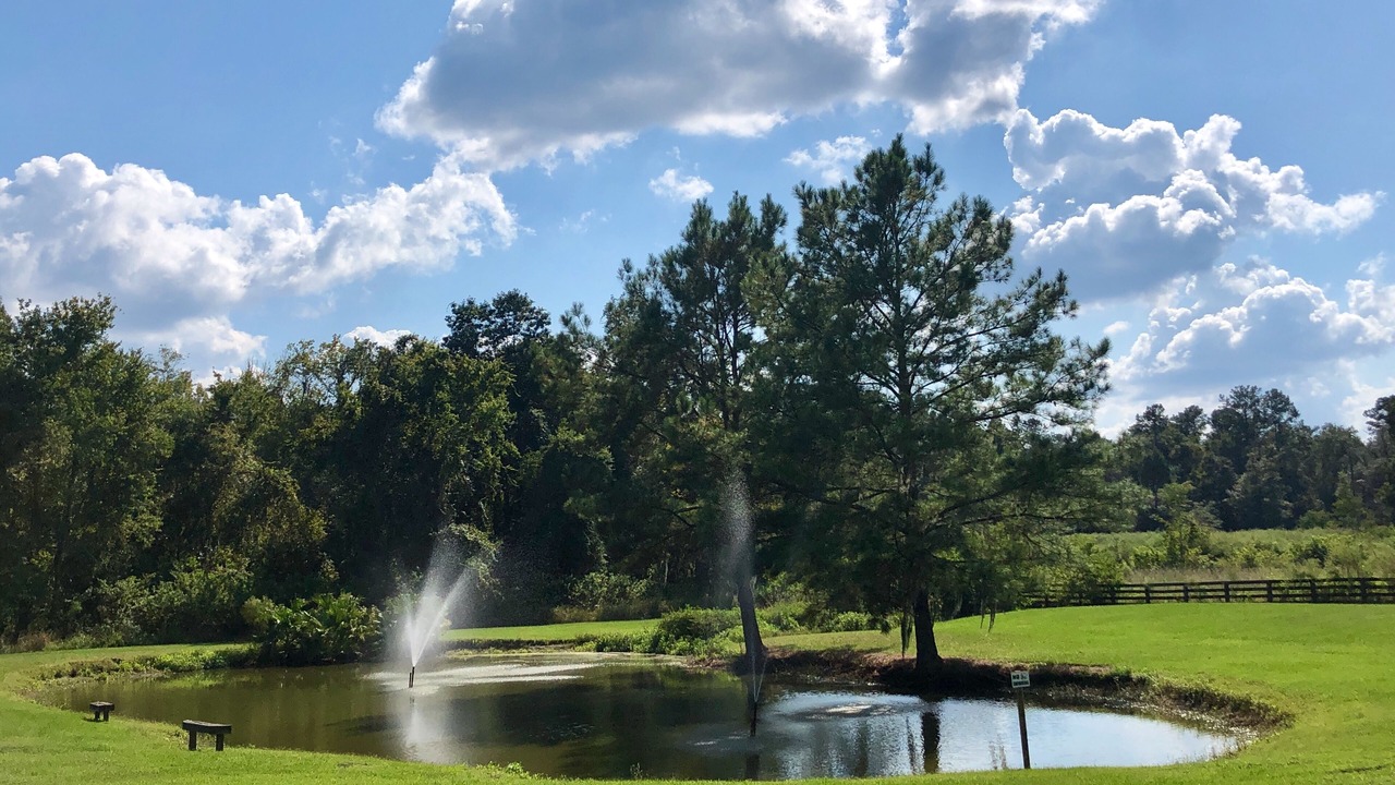 Photo of Others in Alachua