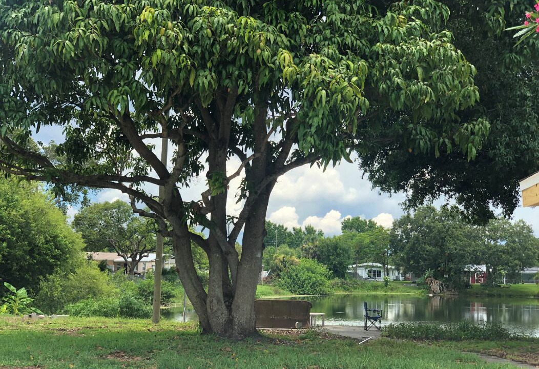 Photo of Outdoor in Meadowlawn