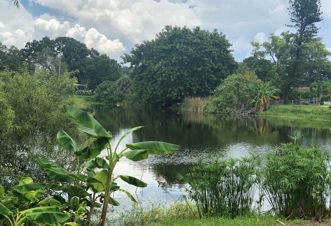 Photo of Outdoor in Meadowlawn