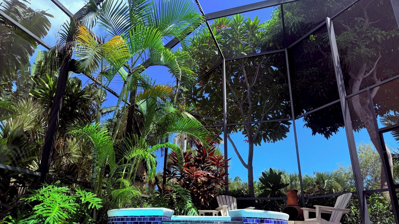 Photo of Outdoor in Ocean Woods