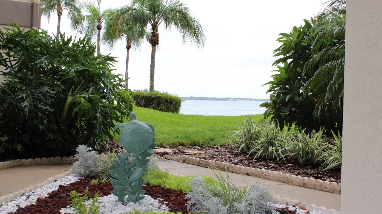 Photo of Outdoor in Palma del Mar