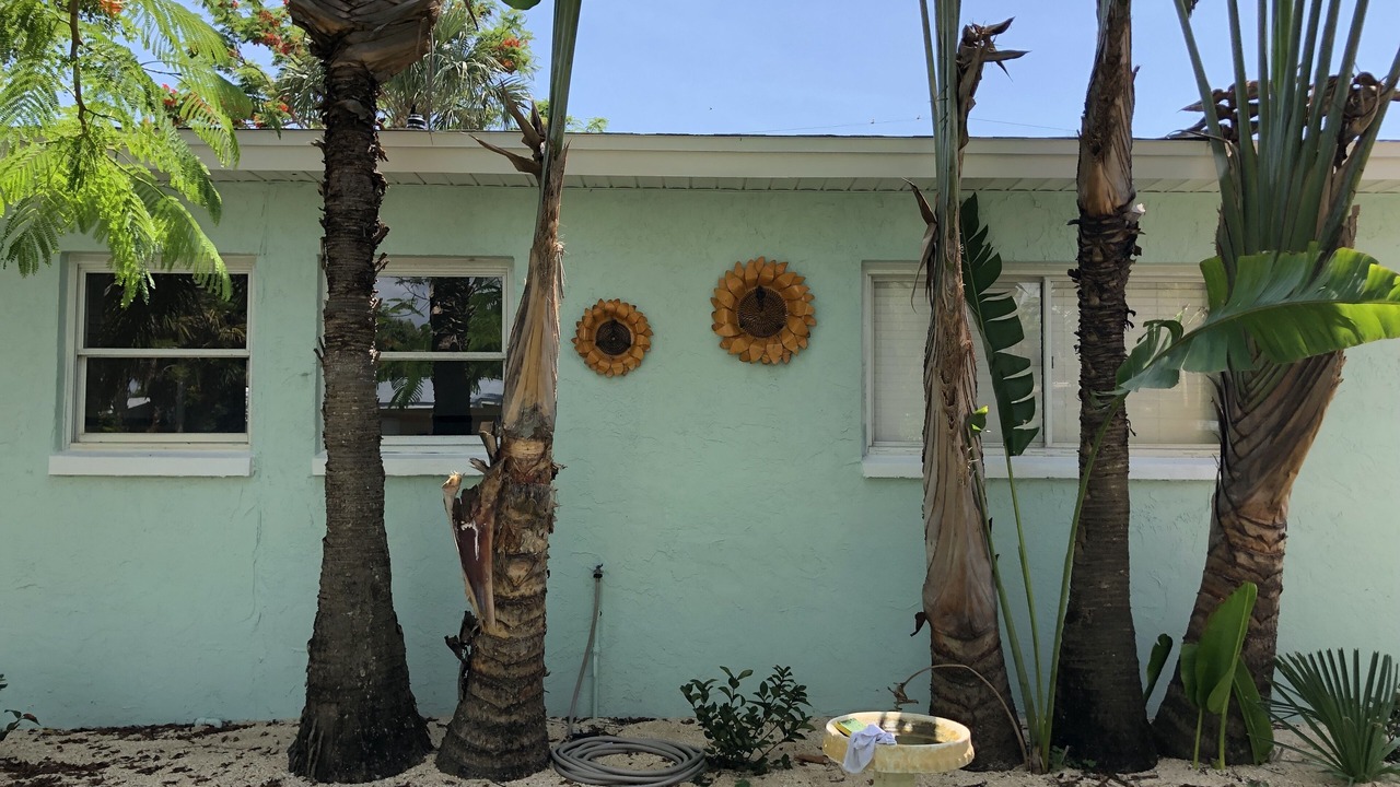 Photo of Outdoor in South Patrick Shores