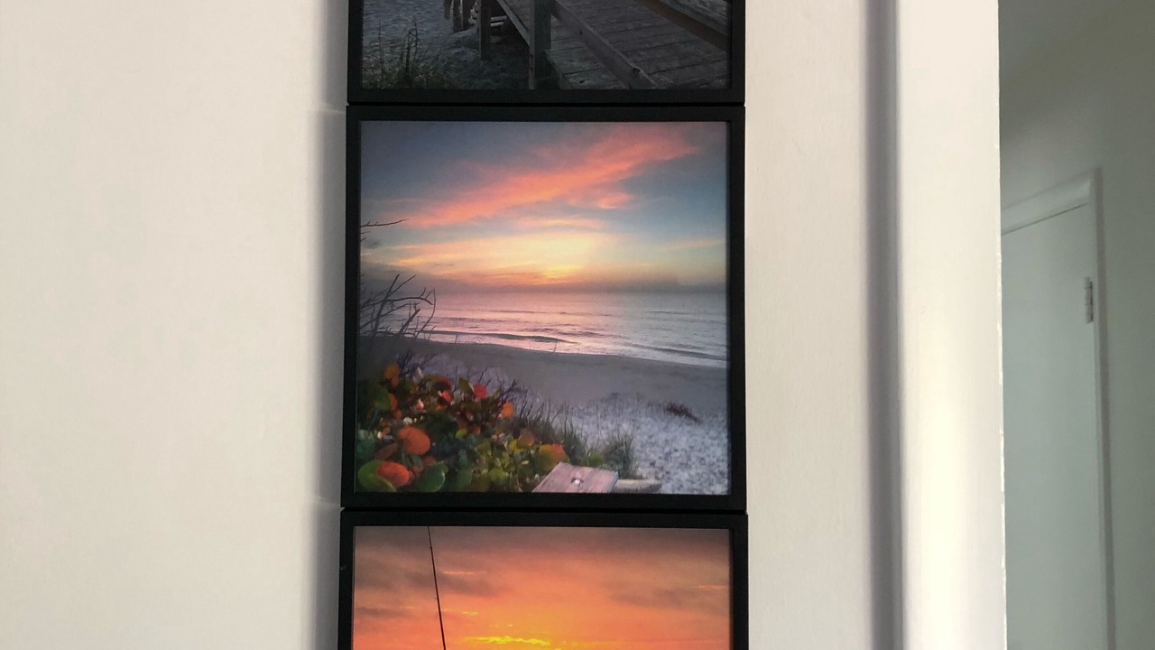 Photo of Others in South Patrick Shores