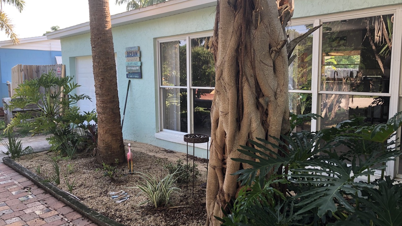 Photo of Outdoor in South Patrick Shores
