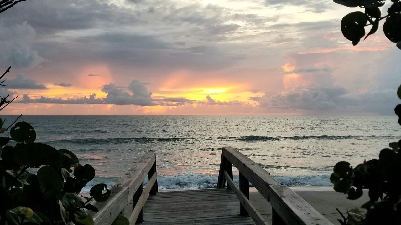 Photo of Others in South Patrick Shores