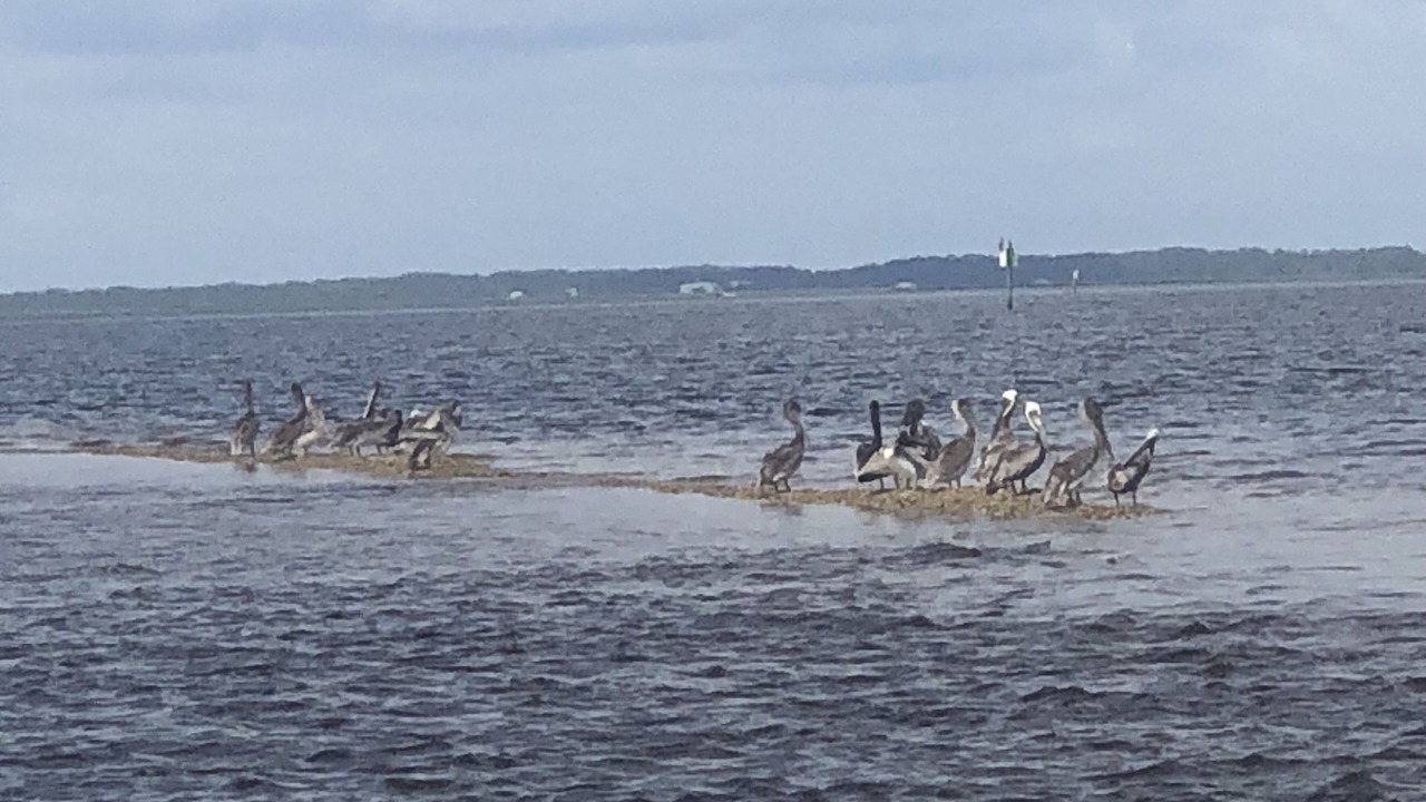 Photo of Others in Crawfordville