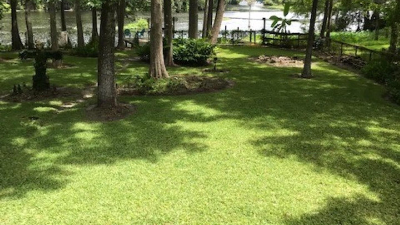 Photo of Outdoor in Citrus Springs