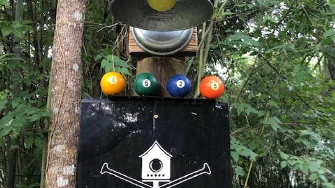 Photo of Outdoor in Citrus Springs