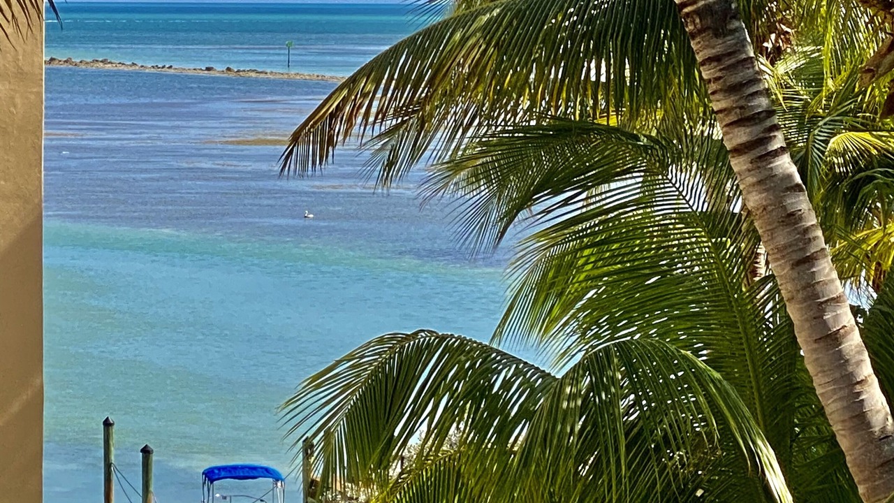 Photo of Others in Islamorada