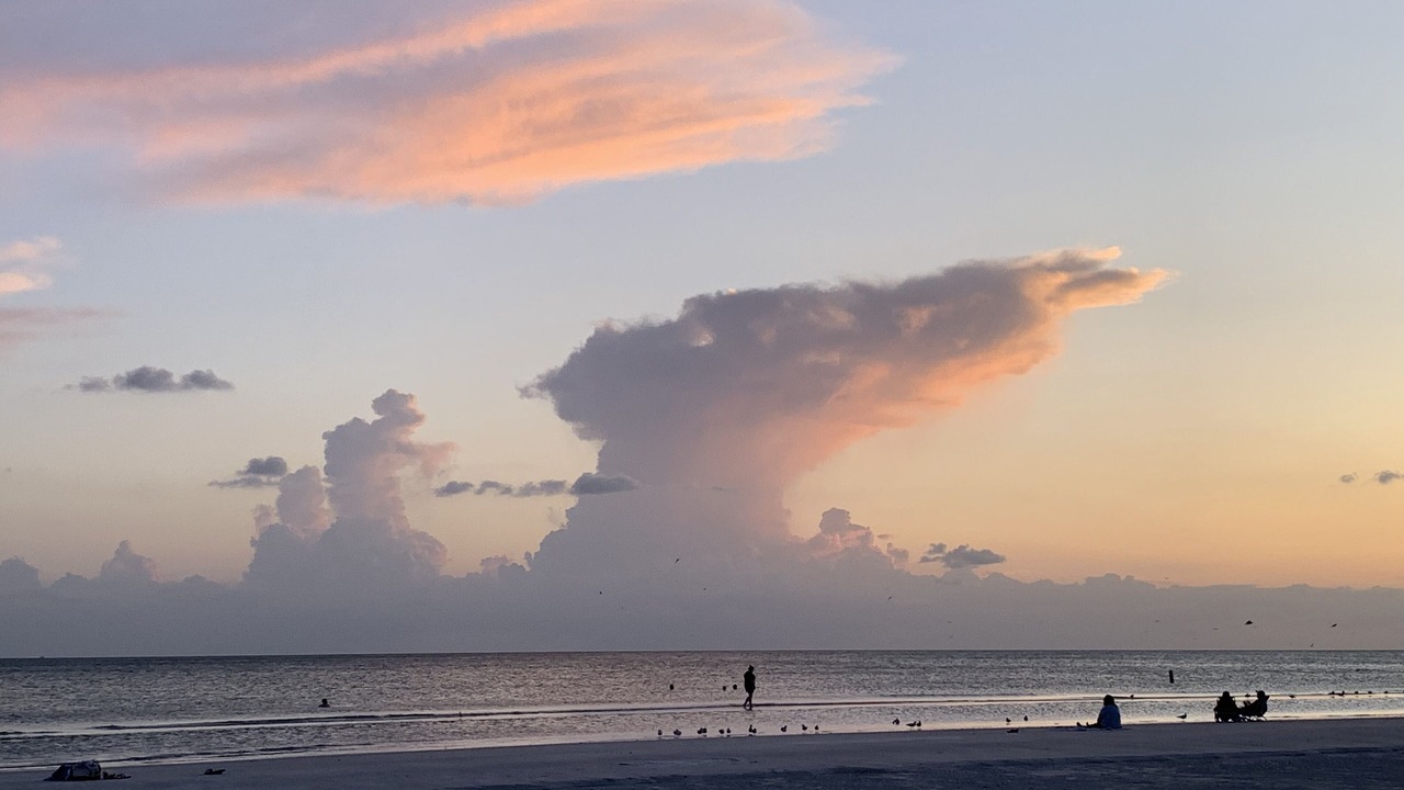 Photo of Others in Sarasota