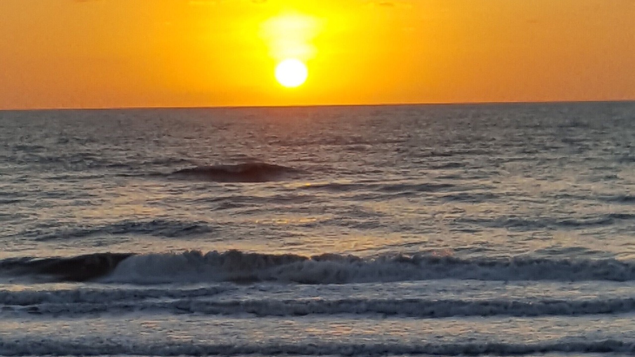Photo of Others in Flagler Beach