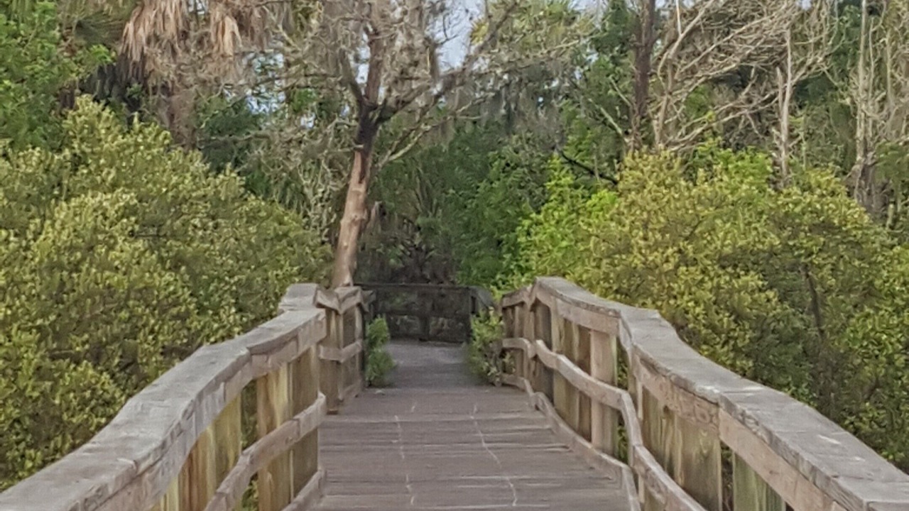 Photo of Others in Flagler Beach