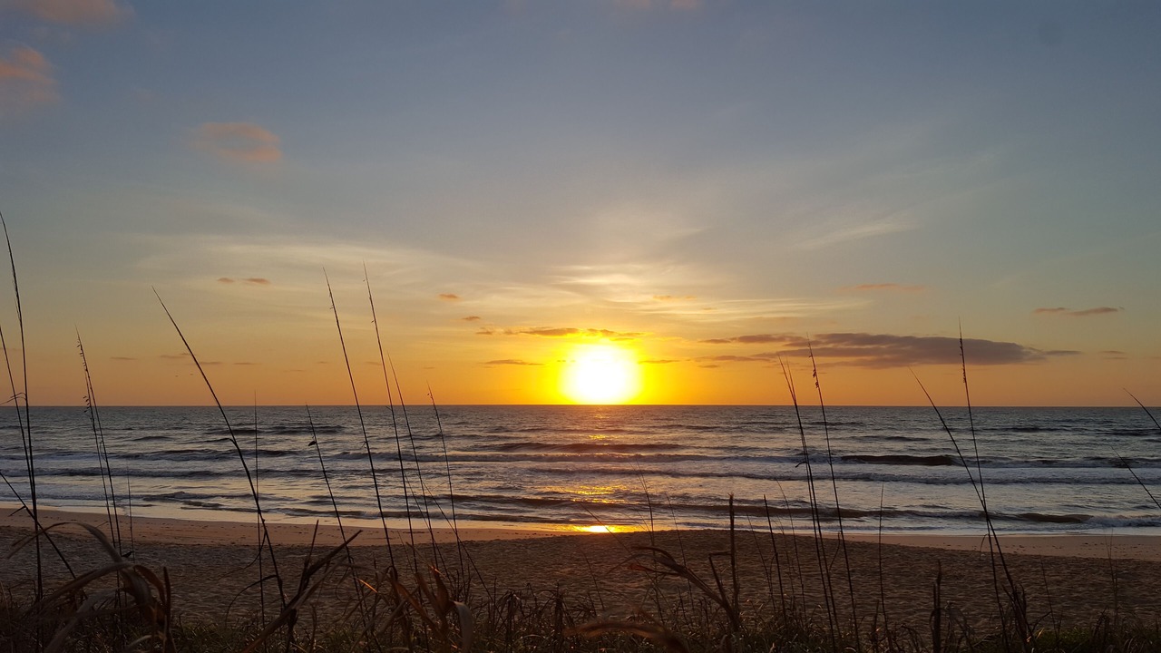 Photo of Others in Flagler Beach