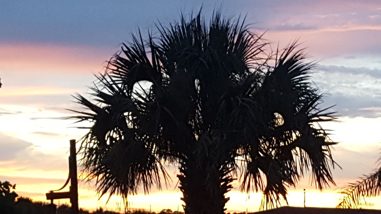 Photo of Patio Balcony in Flagler Beach