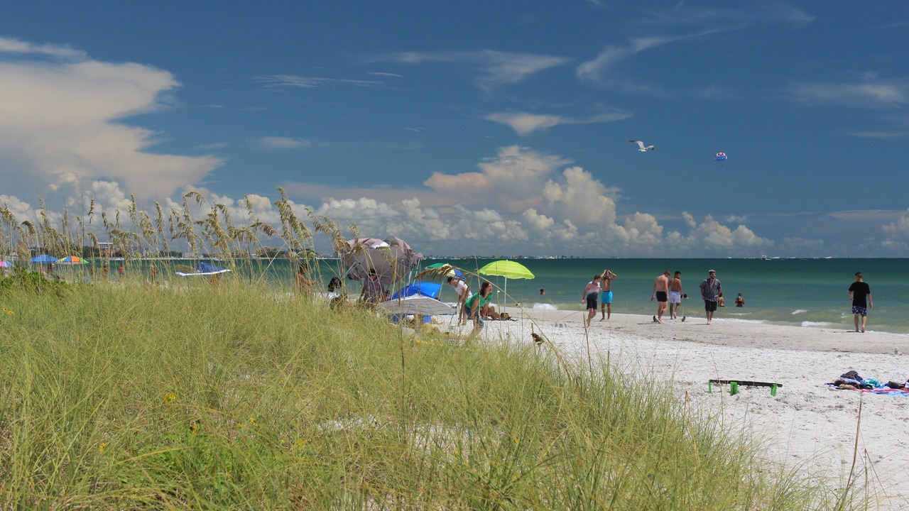 Photo of Others in St. Pete Beach