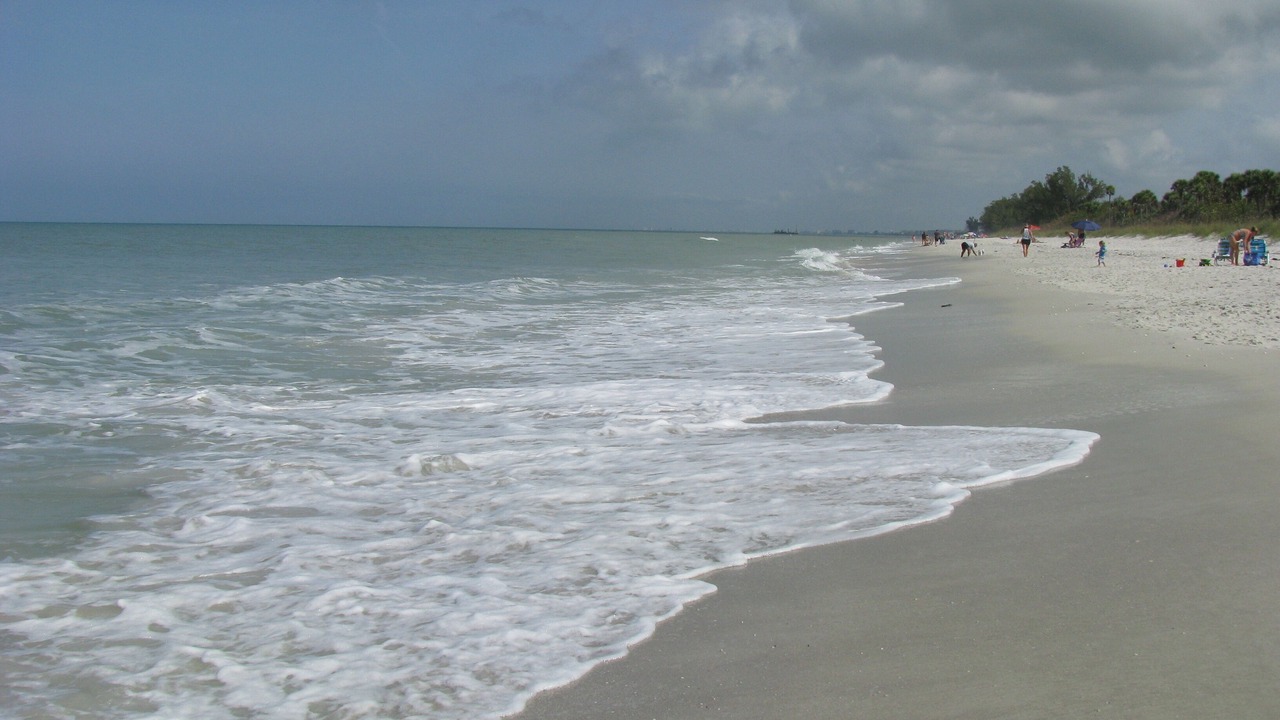 Photo of Others in St. Pete Beach