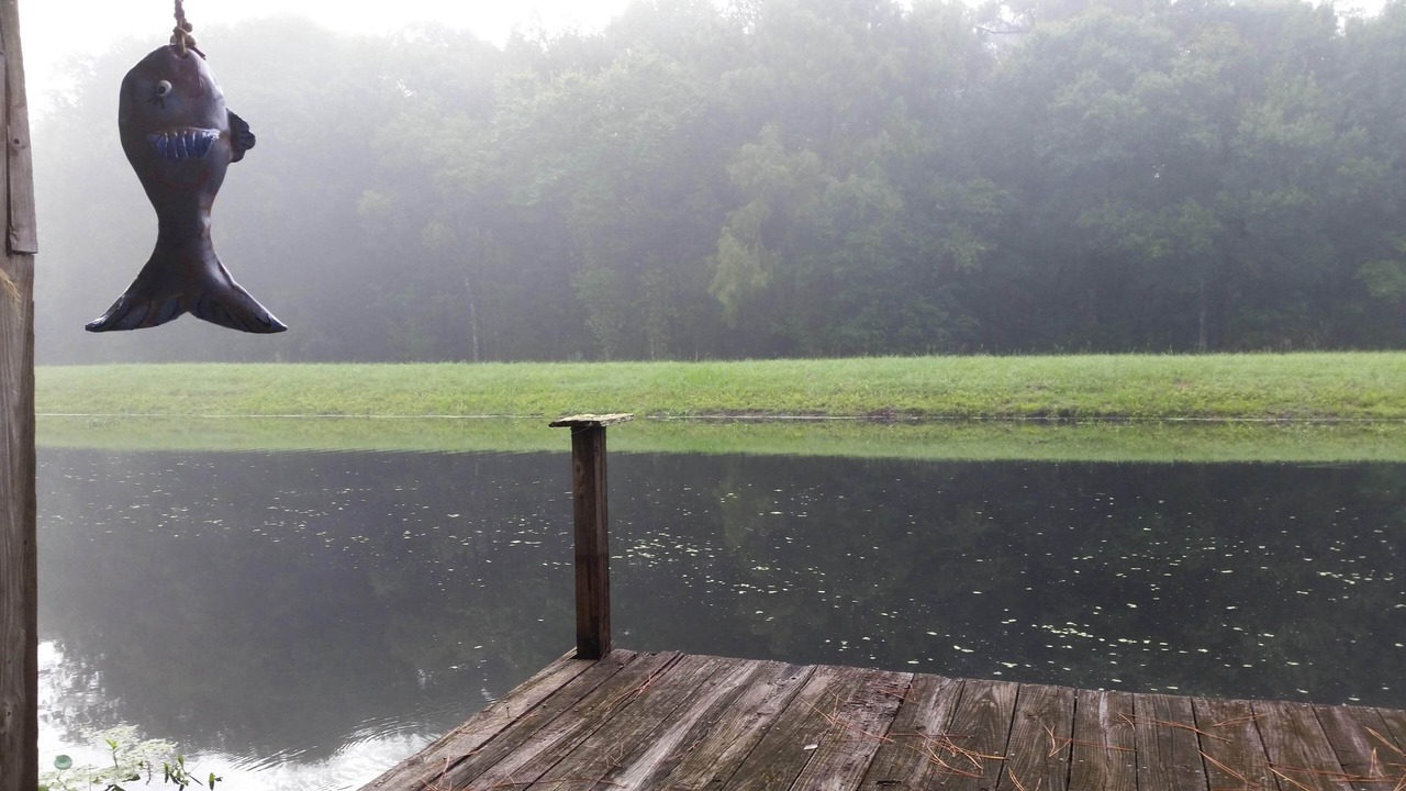 Photo of Others in Hernando