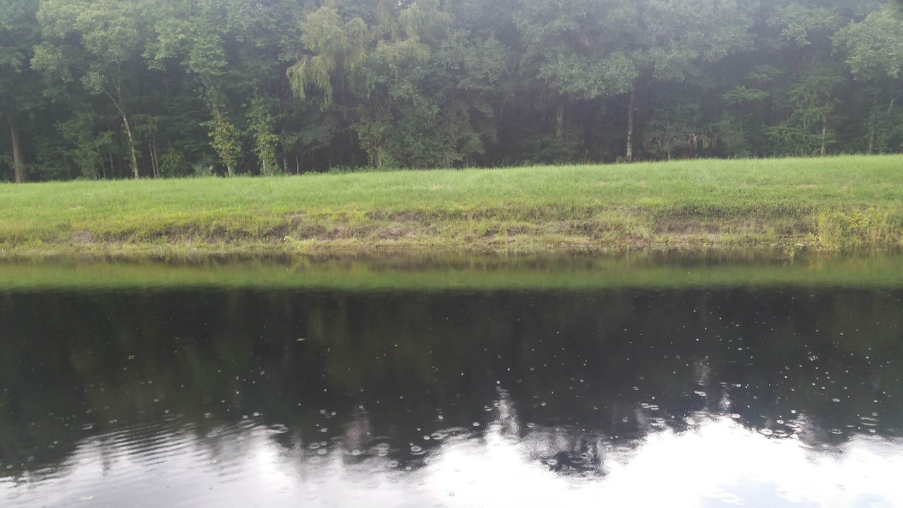 Photo of Others in Hernando