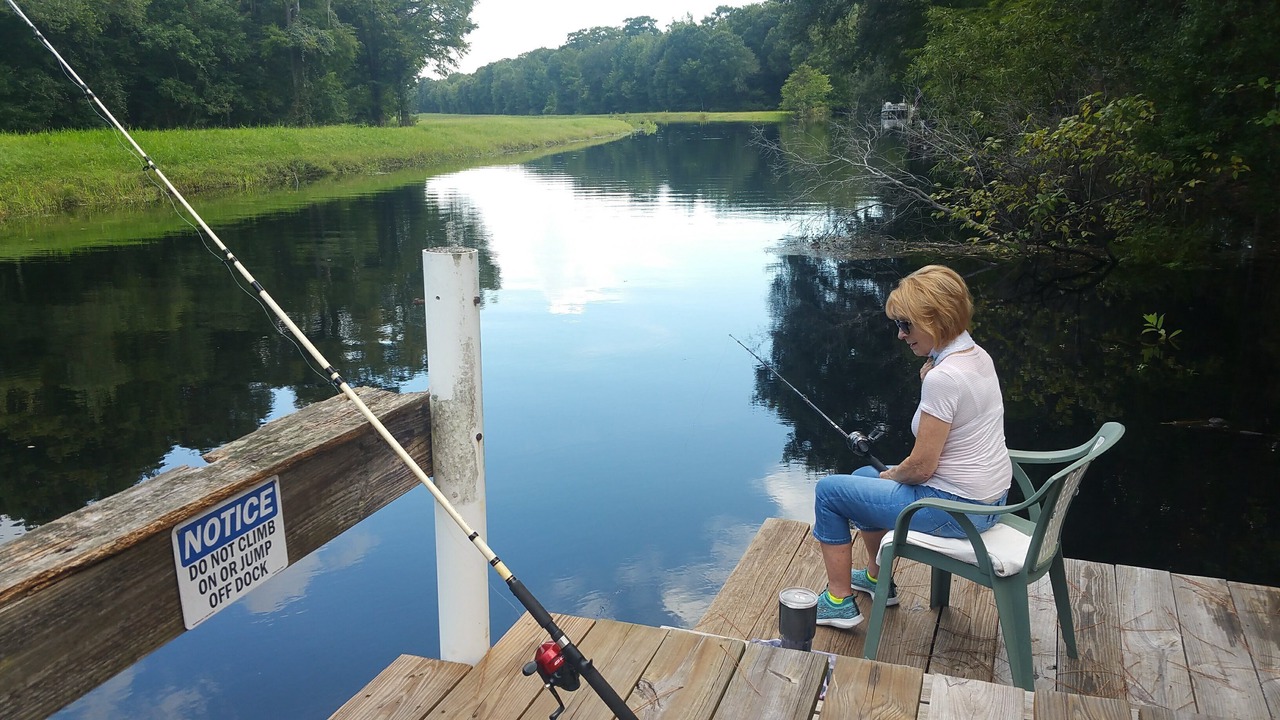 Photo of Others in Hernando