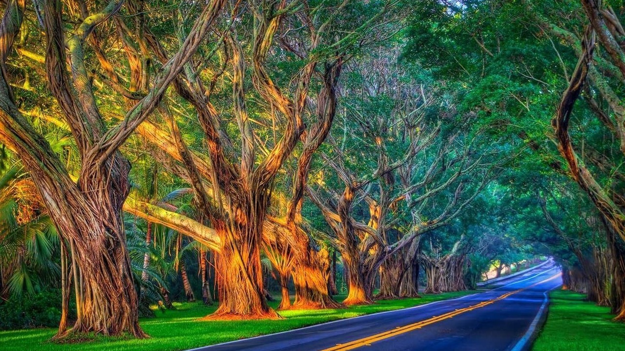 Photo of Others in Hobe Sound