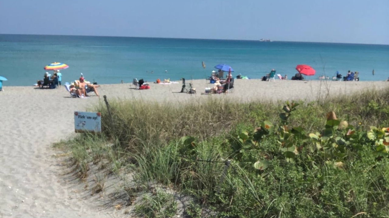 Photo of Others in Hobe Sound
