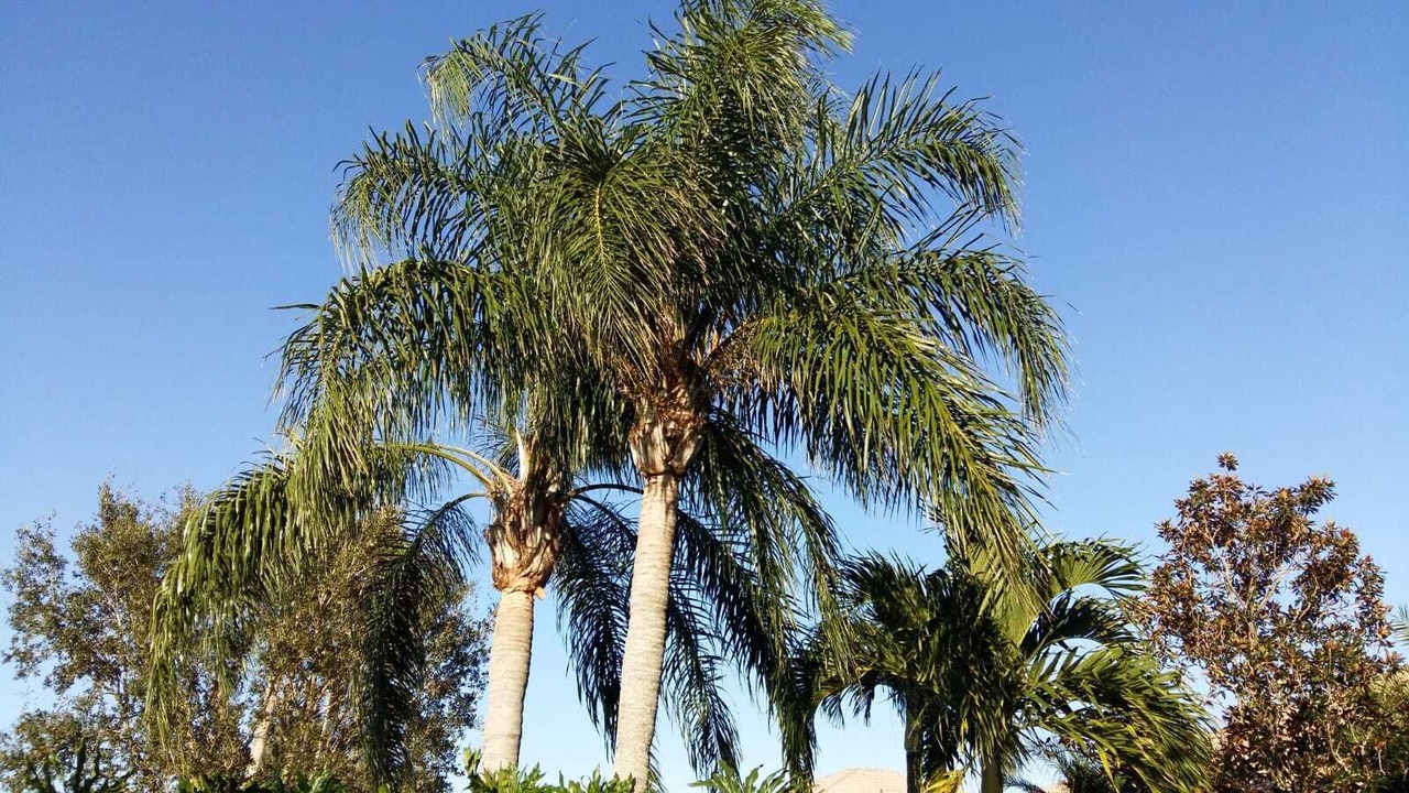 Photo of Outdoor in Hobe Sound