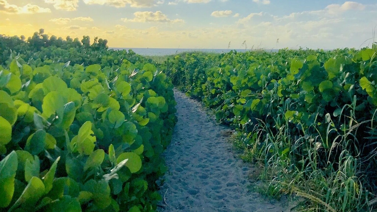 Photo of Others in Delray Beach
