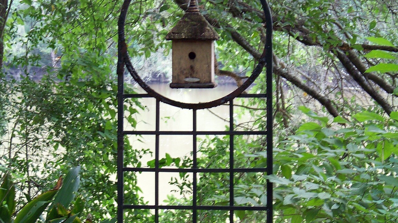 Photo of Outdoor in Ponce De Leon