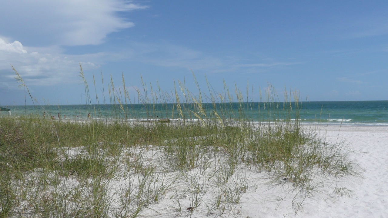 Photo of Others in Madeira Beach