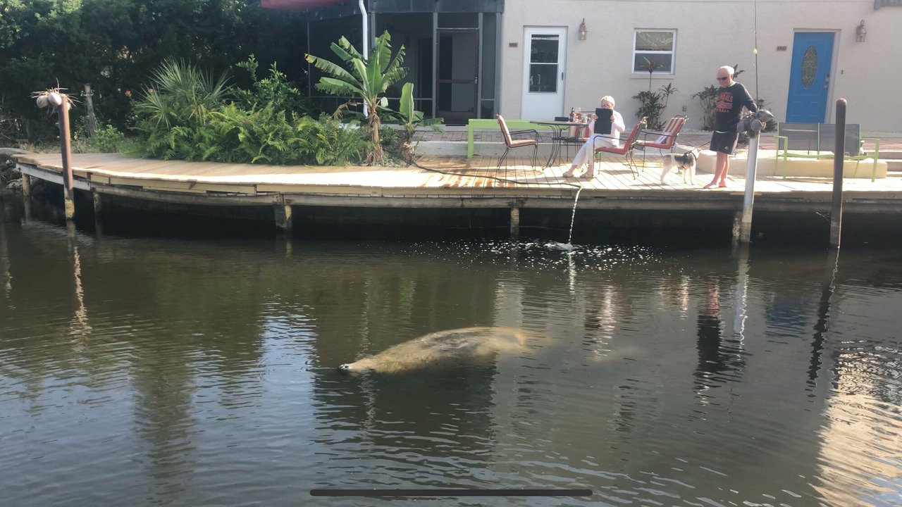Photo of Others in Bonita Shores