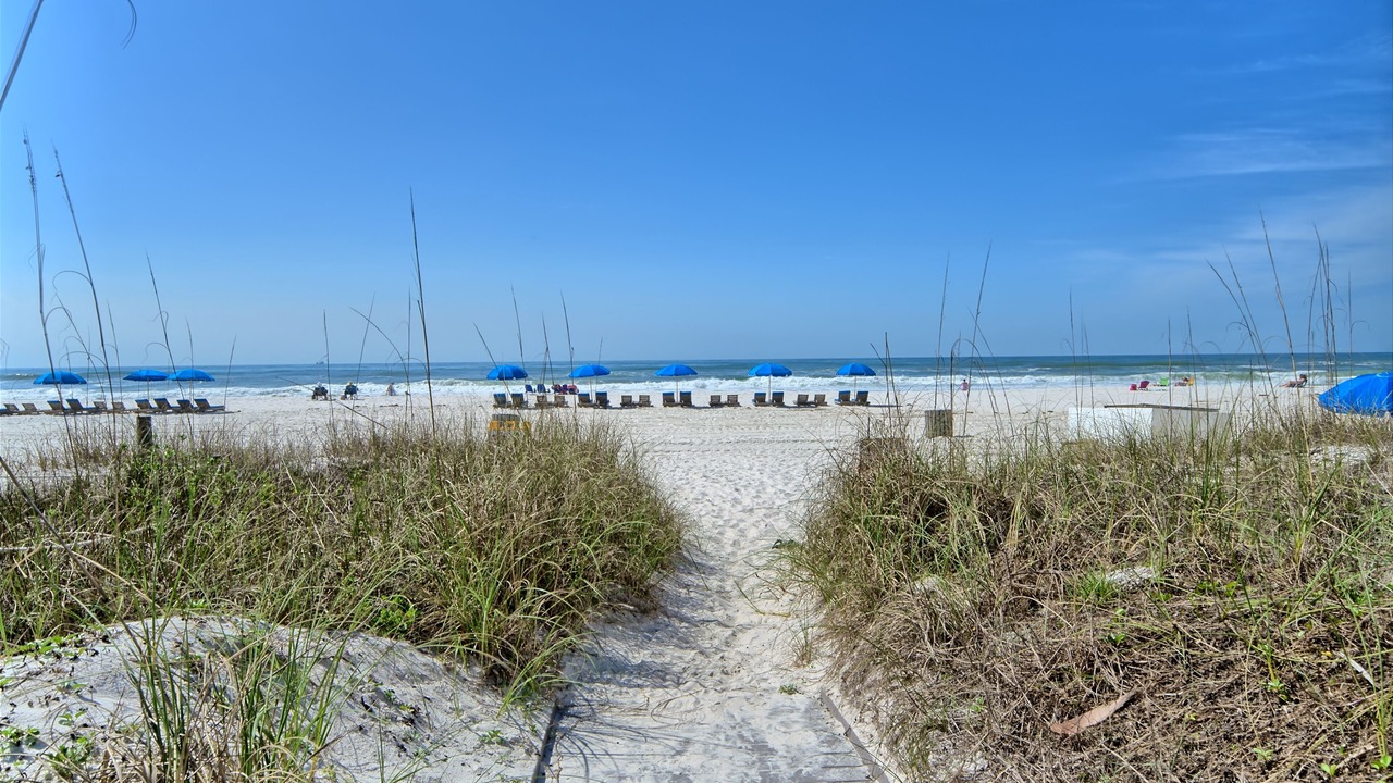 Photo of Others in Gulf Lagoon Beach
