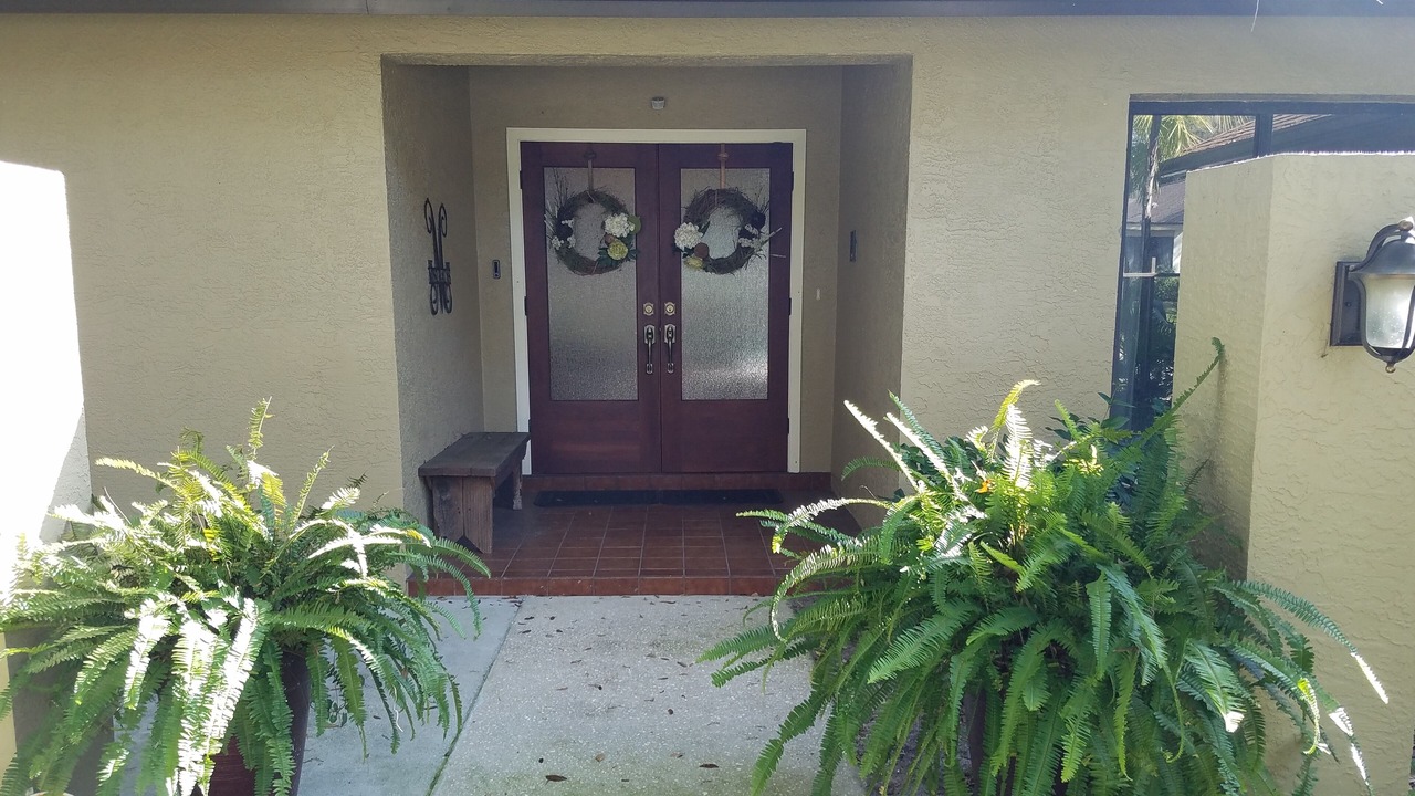 Photo of Others in Palm Harbor