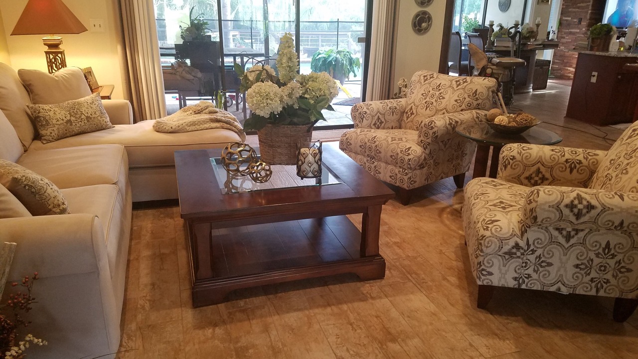 Photo of Livingroom in Palm Harbor