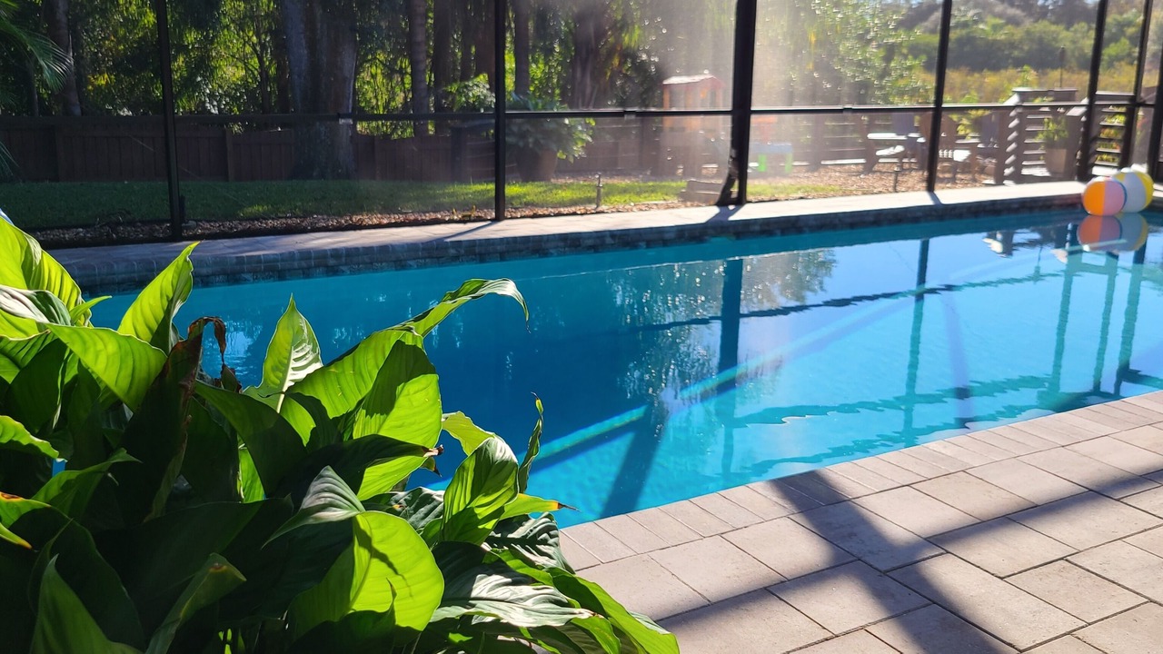 Photo of Outdoor in Palm Harbor
