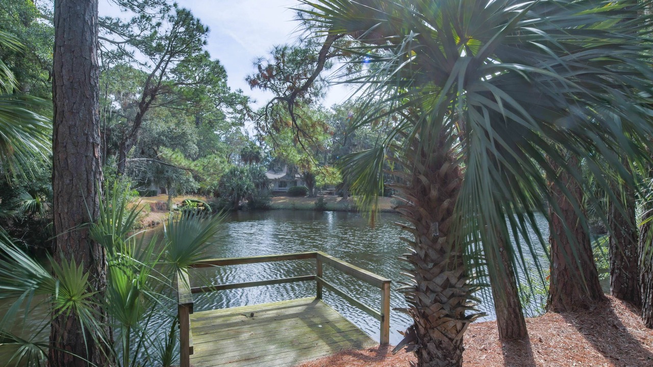 Photo of Outdoor in Sea Pines