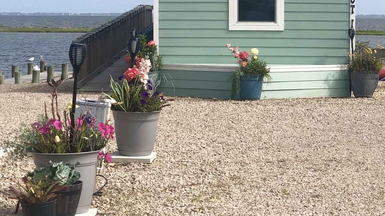 Photo of Outdoor in Eastpoint