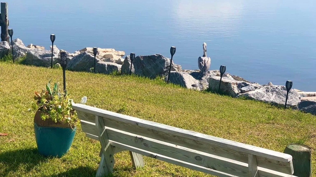 Photo of Outdoor in Eastpoint