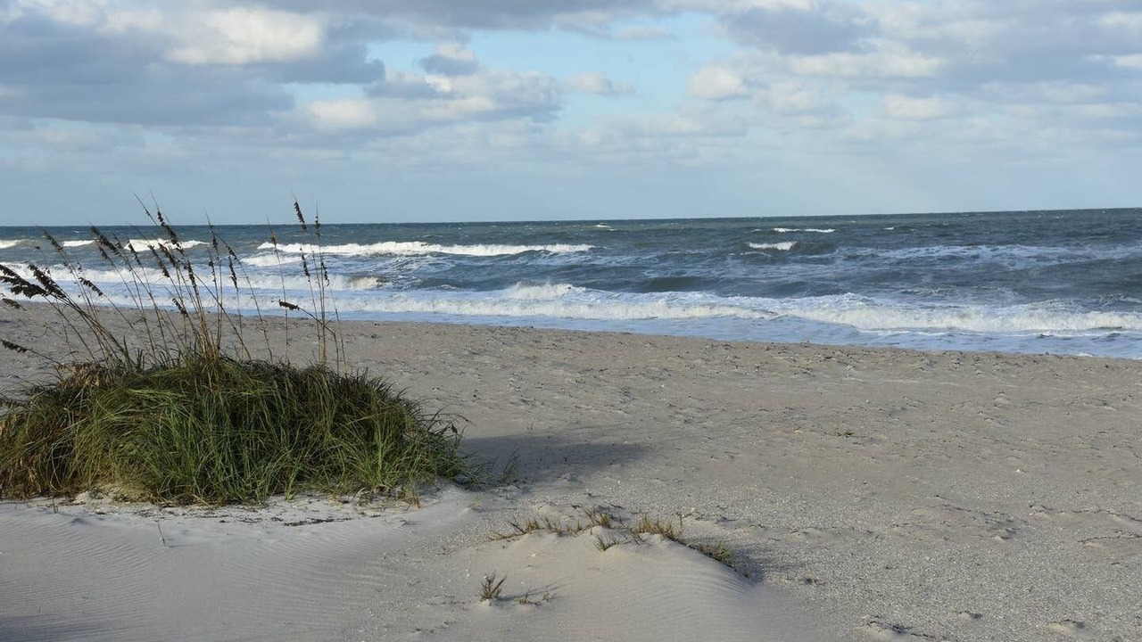 Photo of Others in Indialantic By The Sea