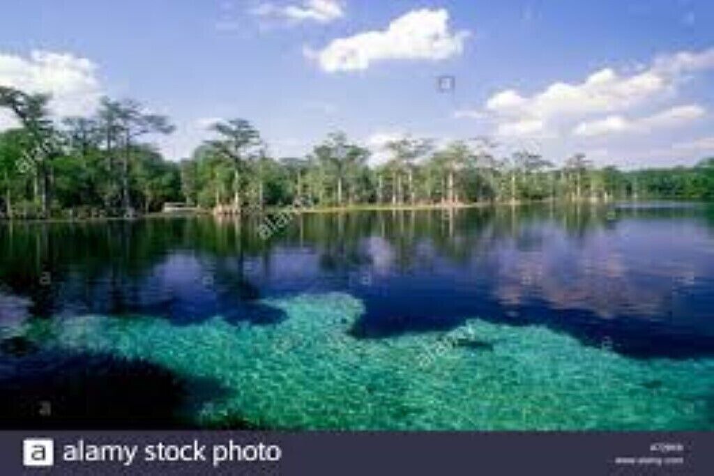 Photo of Others in Tallahassee